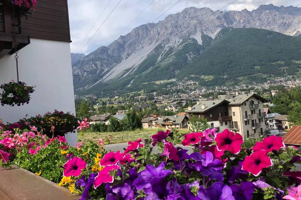 Appartamento A Due Passi Da Bormio Valdisotto Exteriér fotografie